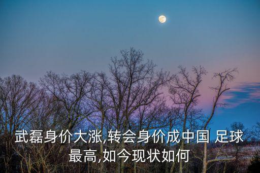 南京足球數(shù)據(jù),南京最好的足球?qū)W校