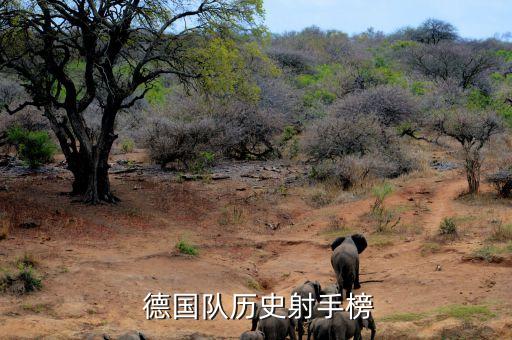  德國(guó)隊(duì)歷史射手榜