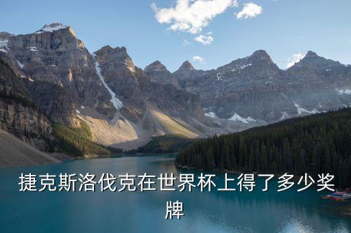  捷克斯洛伐克在世界杯上得了多少獎牌