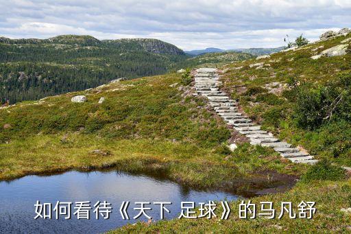 足球播報(bào)員