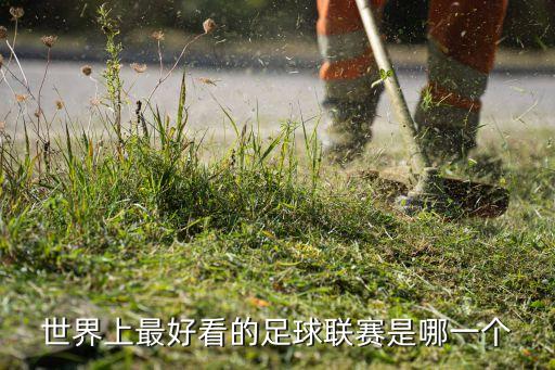 世界上最好看的足球聯(lián)賽是哪一個