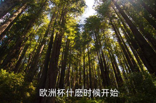  歐洲杯什麼時(shí)候開始