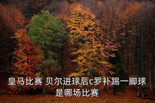 皇馬比賽 貝爾進球后c羅補踢一腳球是哪場比賽