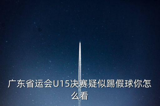 廣東省運會U15決賽疑似踢假球你怎么看