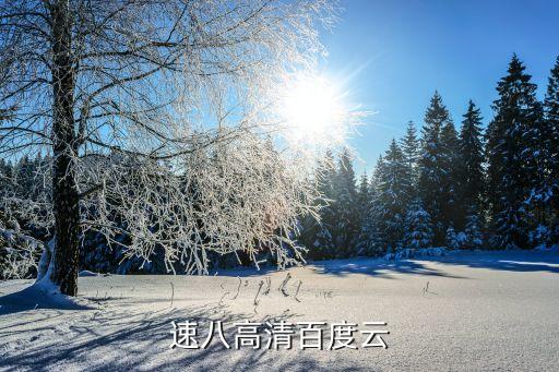 速八強(qiáng)森足球場劇照