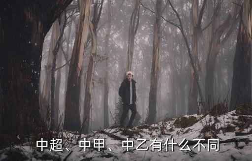  中超、中甲、中乙有什么不同