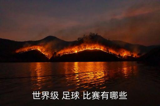 世界級(jí) 足球 比賽有哪些