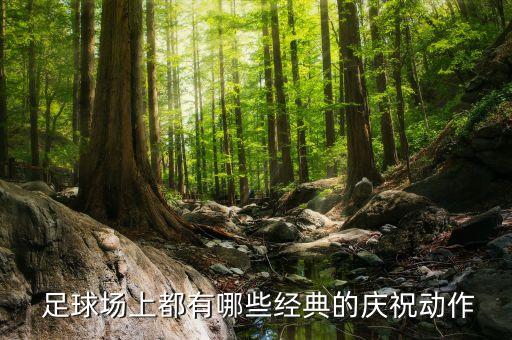百大足球場盤點(diǎn),盤點(diǎn)足球場上的搞笑瞬間