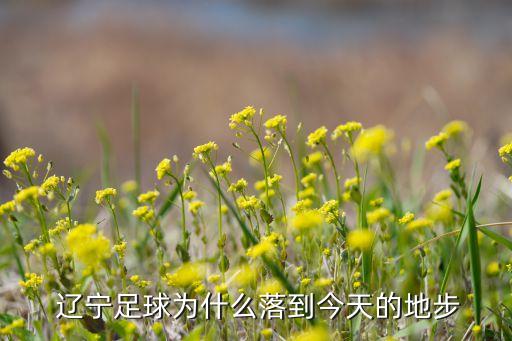 中甲遼寧沈陽足球隊戰(zhàn)況,2023遼寧沈陽城建中甲足球隊
