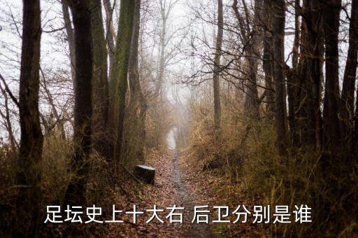 足壇史上十大右 后衛(wèi)分別是誰(shuí)