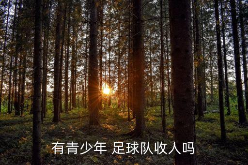 有青少年 足球隊(duì)收人嗎