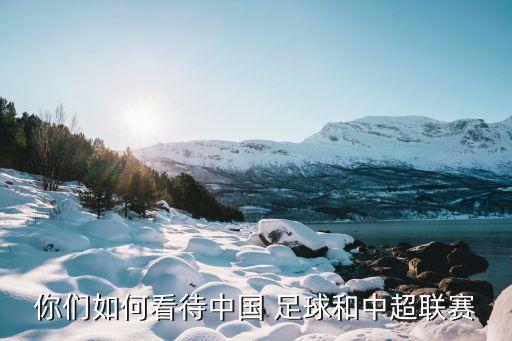 你們?nèi)绾慰创袊?guó) 足球和中超聯(lián)賽