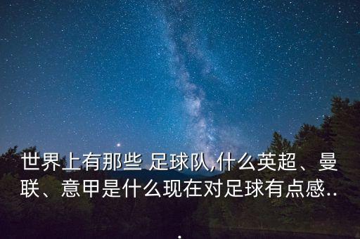 世界上有那些 足球隊,什么英超、曼聯(lián)、意甲是什么現(xiàn)在對足球有點感...