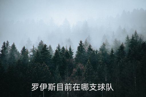 羅伊斯目前在哪支球隊(duì)