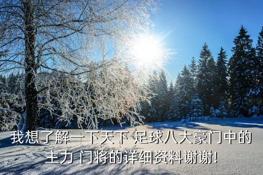 我想了解一下天下 足球八大豪門中的主力 門將的詳細資料謝謝!