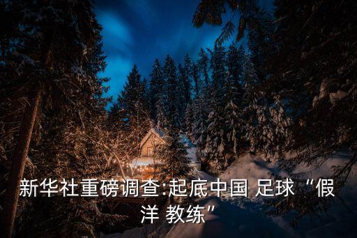 新華社重磅調(diào)查:起底中國(guó) 足球“假洋 教練”