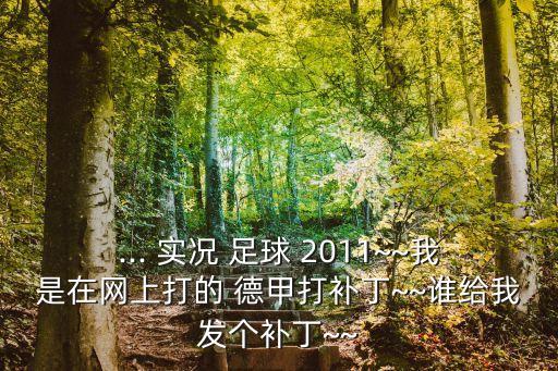 ... 實(shí)況 足球 2011~~我是在網(wǎng)上打的 德甲打補(bǔ)丁~~誰給我發(fā)個補(bǔ)丁~~