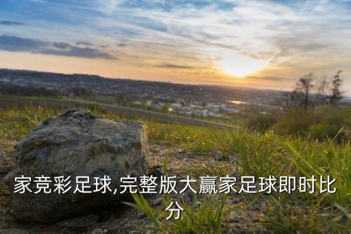 大贏家競(jìng)彩足球,完整版大贏家足球即時(shí)比分