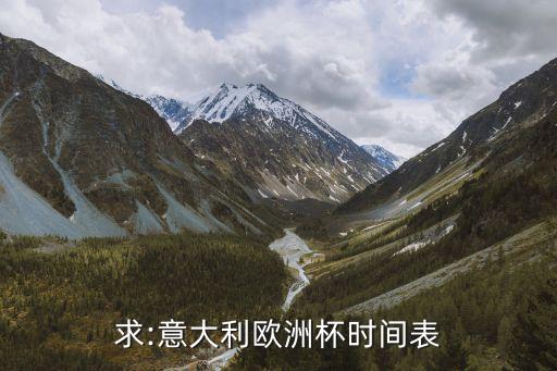 求:意大利歐洲杯時(shí)間表