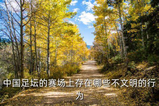 中國足壇的賽場上存在哪些不文明的行為