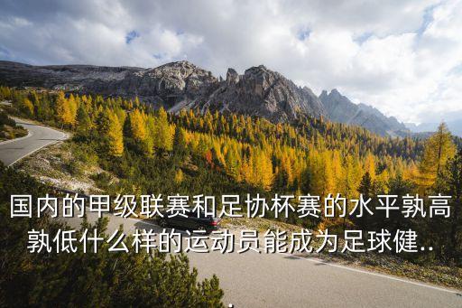 國內的甲級聯(lián)賽和足協(xié)杯賽的水平孰高孰低什么樣的運動員能成為足球健...