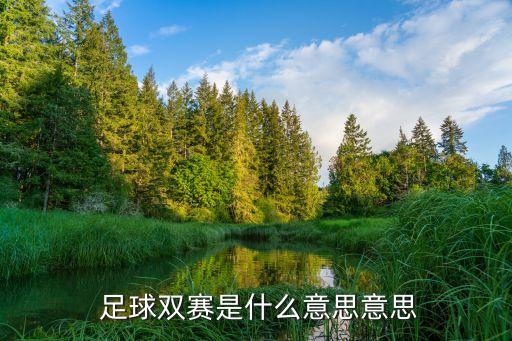 一周足球比賽,一場足球比賽可以換幾個人
