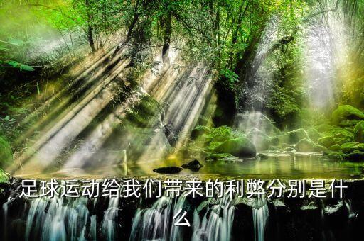  足球運(yùn)動(dòng)給我們帶來(lái)的利弊分別是什么