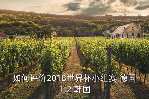 如何評(píng)價(jià)2018世界杯小組賽 德國1:2 韓國