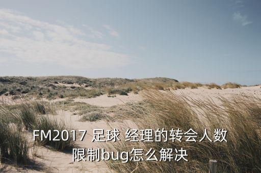 FM2017 足球 經(jīng)理的轉(zhuǎn)會人數(shù)限制bug怎么解決