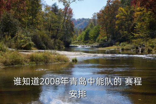 誰知道2008年青島中能隊(duì)的 賽程安排