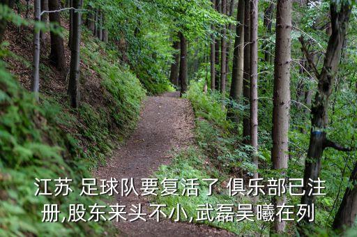  江蘇 足球隊(duì)要復(fù)活了 俱樂部已注冊(cè),股東來頭不小,武磊吳曦在列