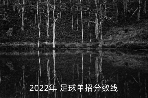 2022年 足球單招分數(shù)線
