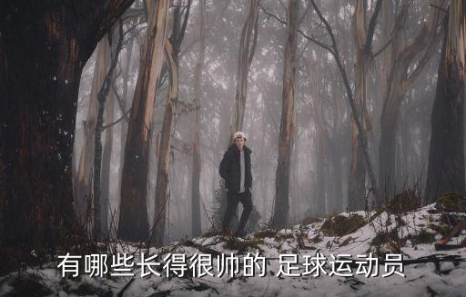 有哪些長(zhǎng)得很帥的 足球運(yùn)動(dòng)員