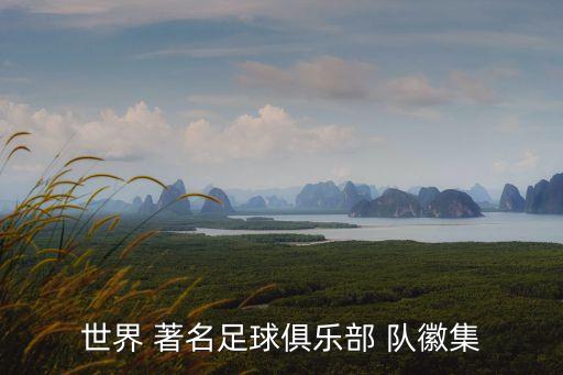 世界 著名足球俱樂(lè)部 隊(duì)徽集