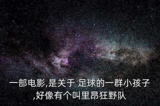一部電影,是關(guān)于 足球的一群小孩子,好像有個(gè)叫里昂狂野隊(duì)