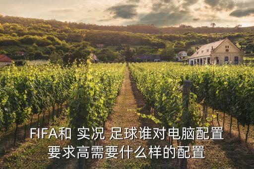 FIFA和 實(shí)況 足球誰對電腦配置要求高需要什么樣的配置