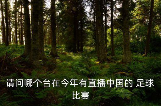請(qǐng)問哪個(gè)臺(tái)在今年有直播中國(guó)的 足球比賽