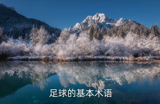  足球的基本術(shù)語(yǔ)