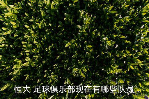 恒大 足球俱樂部現(xiàn)在有哪些隊(duì)員