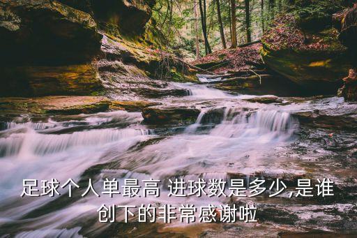 足球個(gè)人單最高 進(jìn)球數(shù)是多少,是誰創(chuàng)下的非常感謝啦