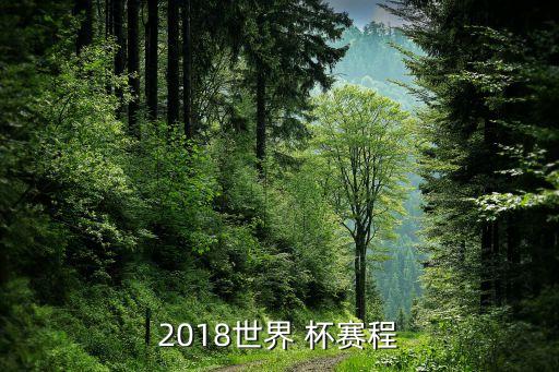俄羅斯足球杯賽事表,足球國(guó)家賽事都有什么杯