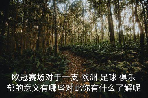 足球俱樂部 歐洲隊,歐洲足球俱樂部靠什么盈利