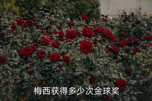 梅西拿過(guò)世界足球先生嗎,梅西等14人候選世界足球先生