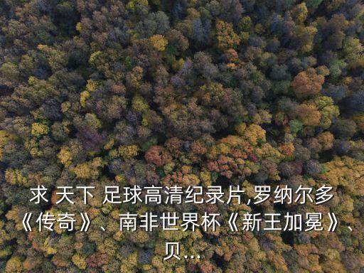求 天下 足球高清紀錄片,羅納爾多《傳奇》、南非世界杯《新王加冕》、貝...