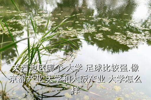 關(guān)西地區(qū)哪個 大學 足球比較強.像京都產(chǎn)業(yè) 大學和大阪產(chǎn)業(yè) 大學怎么樣