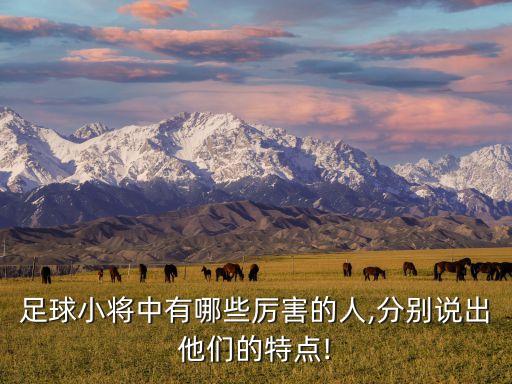 琿春北國足球隊(duì)