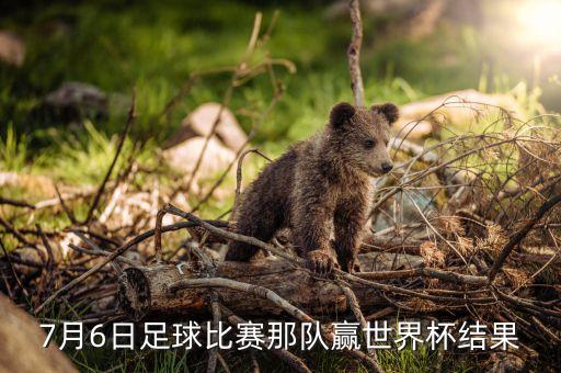 昨天越南u23足球賽贏了