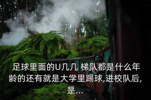  足球里面的U幾幾 梯隊都是什么年齡的還有就是大學里踢球,進校隊后,是...