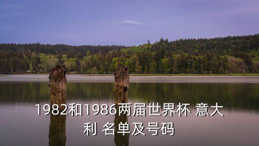 1982和1986兩屆世界杯 意大利 名單及號碼