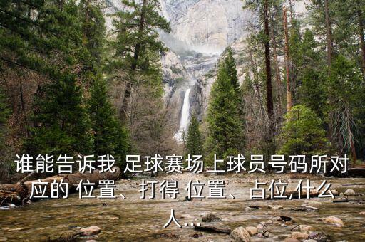 誰能告訴我 足球賽場上球員號碼所對應(yīng)的 位置、打得 位置、占位,什么人...